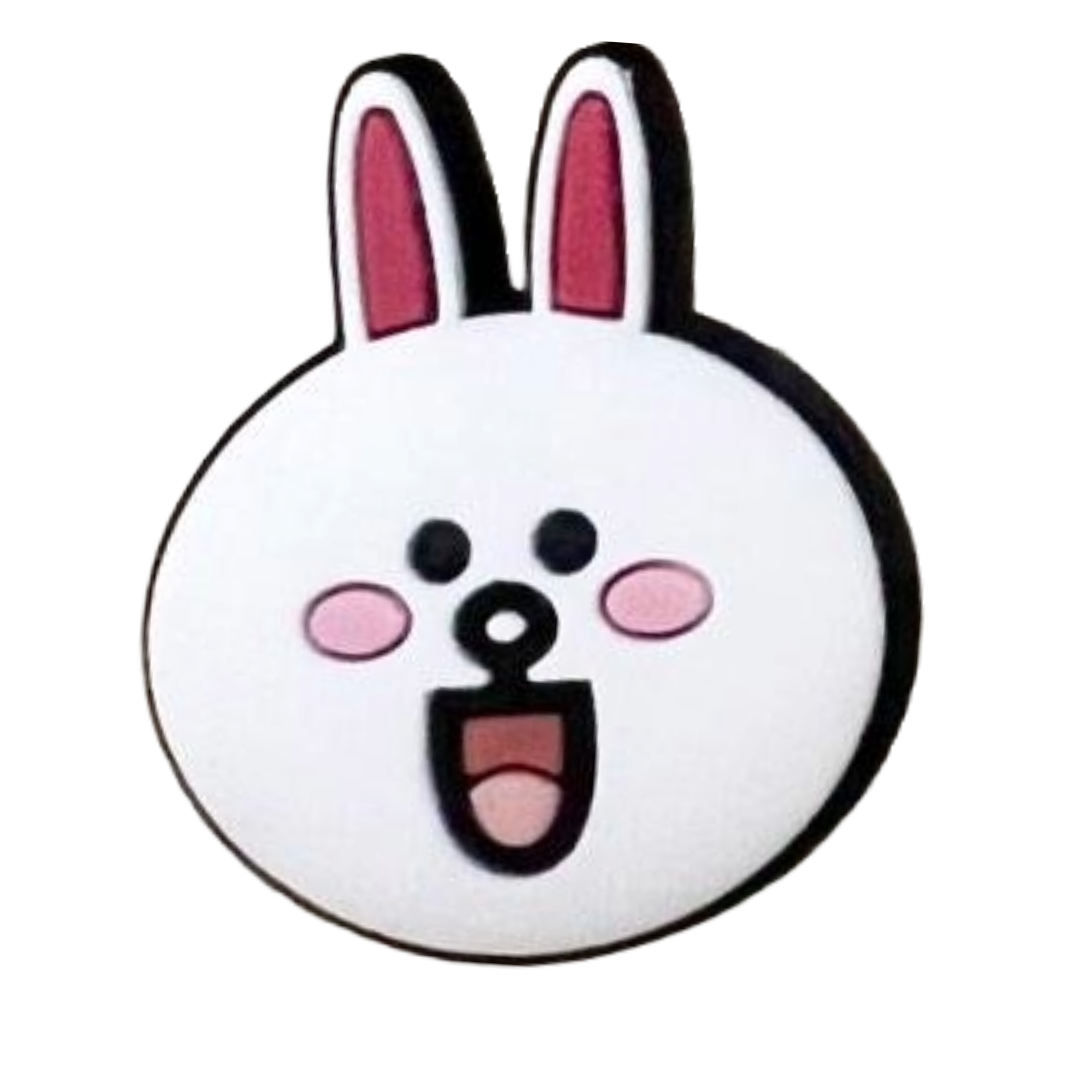 Jibbitz - Line Friends Collection