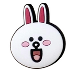 Cheerful Cony Rabbit