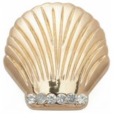 Gold Shell Icon