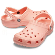 Authentic Crocs Classic Clog - mTravel Store